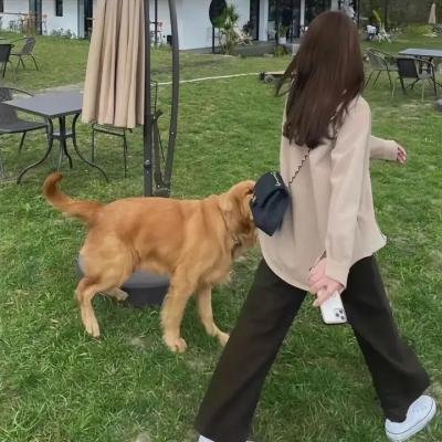 毛骨悚然3:再开杀戒